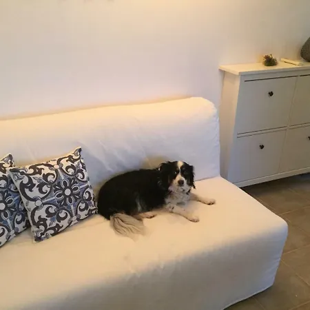 Apartmán Boba's House