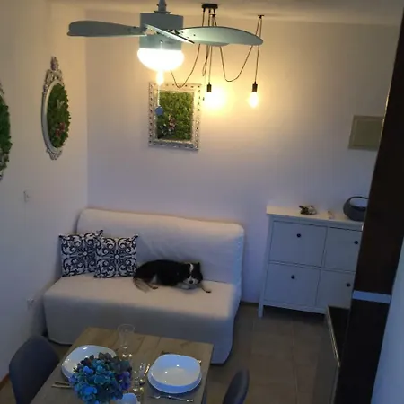 Apartment Boba's House