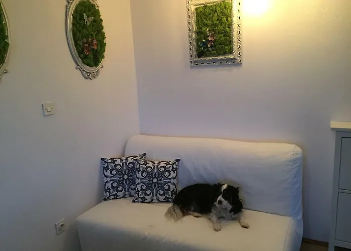 Apartmán Boba's House *