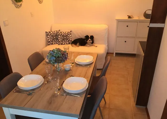 Boba's House Apartmán