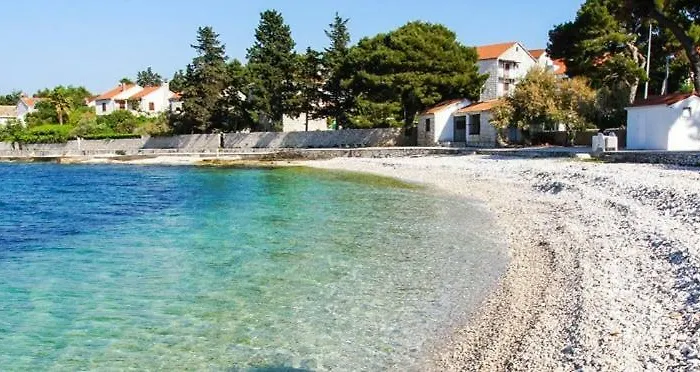 Boba's House Sutivan