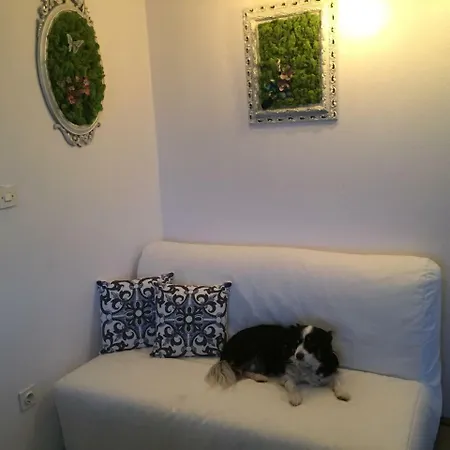 Apartamento Boba's House *