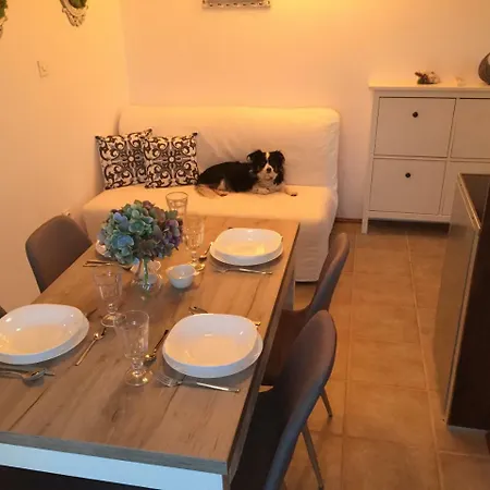 Boba's House Apartamento