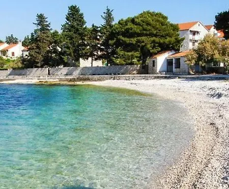 Boba's House Сутиван